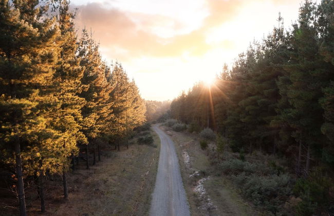 The Sebel Creswick Forest Resort - Photo 26