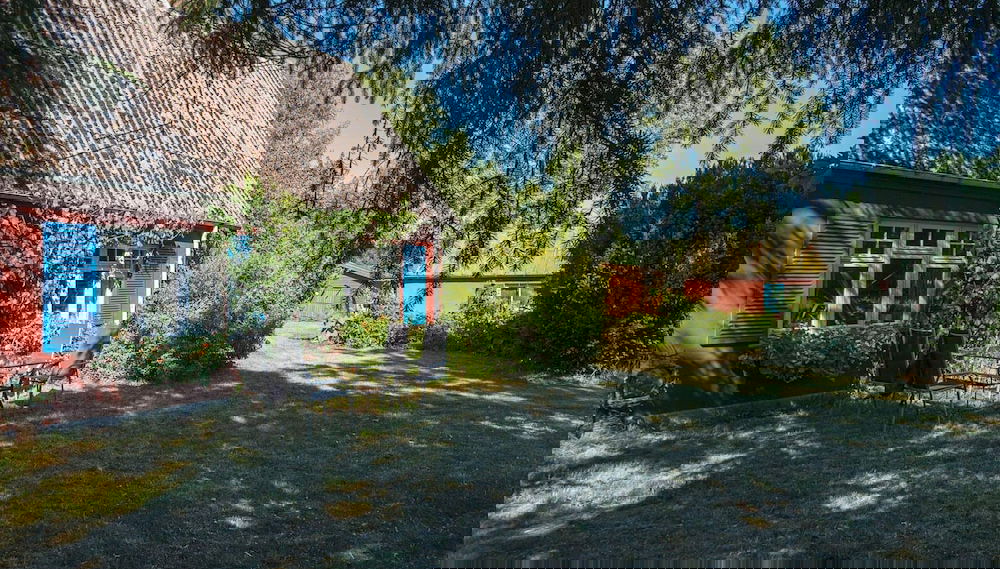 Image principale