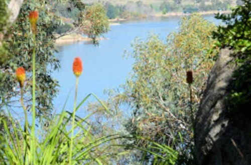 Photo 29 - The Point Jindabyne