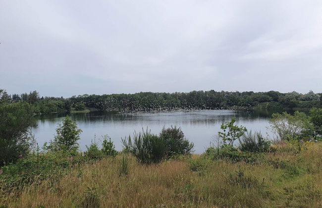 6 Person Holiday Home in Ringkobing - Foto 4