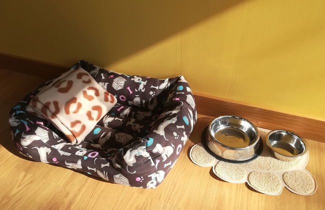 Casa das Palmeiras - Pedagogic Farm - Foto 97