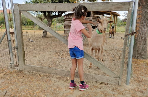 Foto 62 - Casa das Palmeiras - Pedagogic Farm