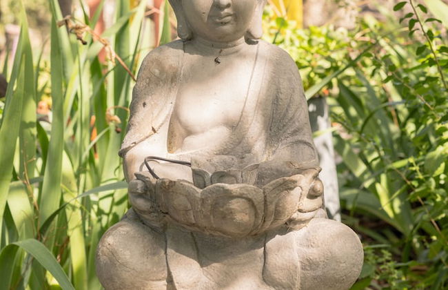 Casa das Palmeiras - Pedagogic Farm - Foto 134