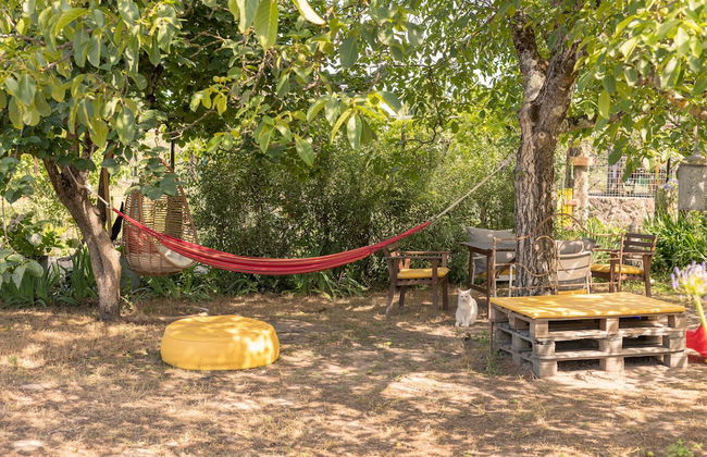 Casa das Palmeiras - Pedagogic Farm - Foto 139