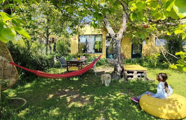 Casa das Palmeiras - Pedagogic Farm - Foto 39