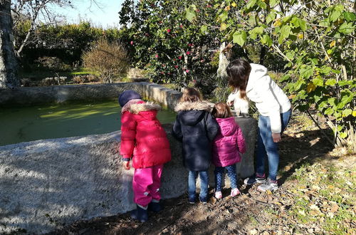 Photo 59 - Casa das Palmeiras - Pedagogic Farm