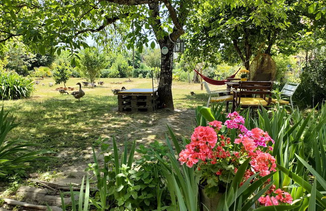 Casa das Palmeiras - Pedagogic Farm - Foto 61