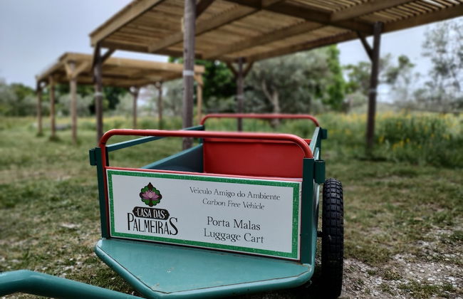 Casa das Palmeiras - Pedagogic Farm - Foto 132