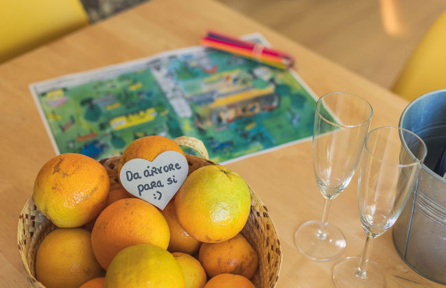 Casa das Palmeiras - Pedagogic Farm - Foto 129