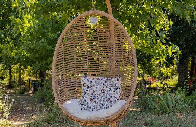 Casa das Palmeiras - Pedagogic Farm - Foto 51