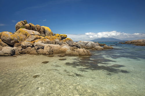 Photo 11 - Montague Island Lighthouse