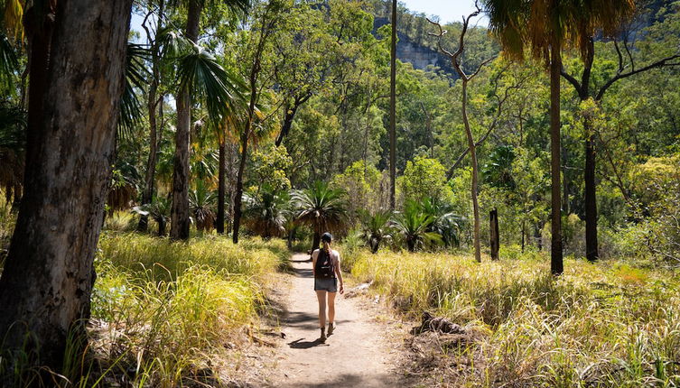 Foto 1 - BIG4 Breeze Holiday Parks - Carnarvon Gorge