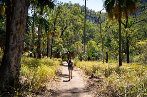 Photo 1 - BIG4 Breeze Holiday Parks - Carnarvon Gorge