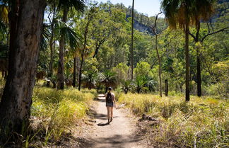 Foto 1 - BIG4 Breeze Holiday Parks - Carnarvon Gorge