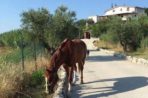 Foto 8 - La Vecchia Fornace