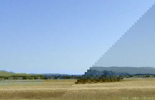 La Mimosa - Foto 59