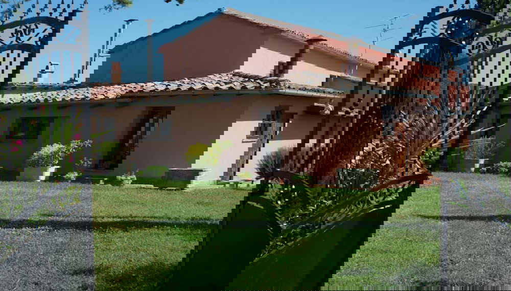 Imagem principal
