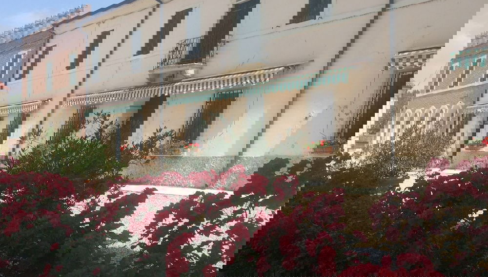 Primary image