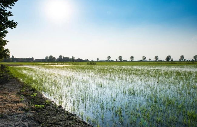 Azienda Agricola Le Colombare - Foto 39