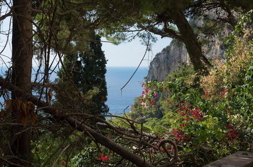 Foto 11 - La Coccodrilla in Capri