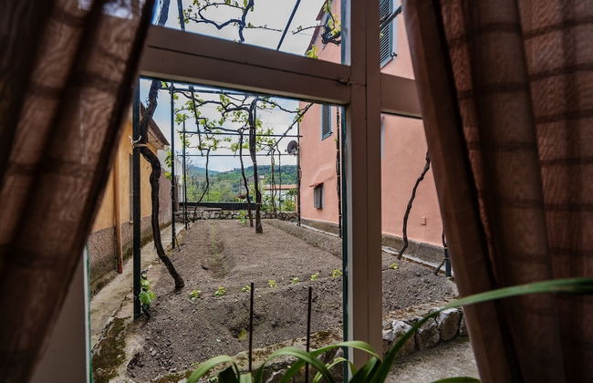 Il Nespolo - Foto 23