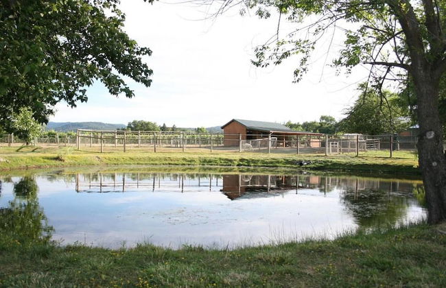 Wine Suite at Rellik House. Winery & Alpaca Farm - Foto 19