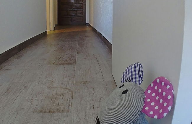 Apartamento Vistas La Mata - Foto 8