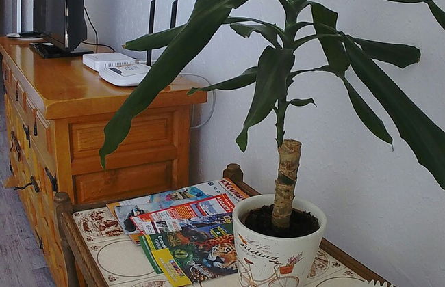 Apartamento Vistas La Mata - Foto 12