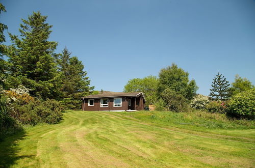 Photo 13 - Steading Holidays - Strathconon