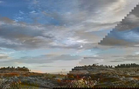 Il Poggiarello Toscano - Foto 36