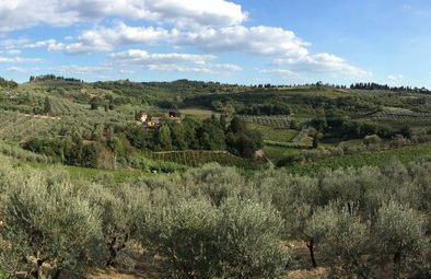 Il Poggiarello Toscano - Foto 34