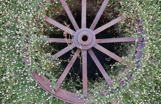 Il Poggiarello Toscano - Foto 29