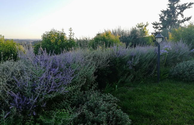 Il Poggiarello Toscano - Foto 25