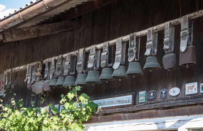 Steigmatt Bauernhof - Erlebnis - Foto 42