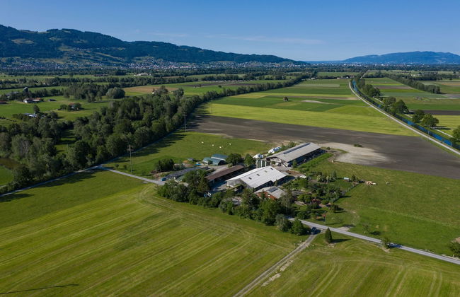 Steigmatt Bauernhof - Erlebnis - Foto 1