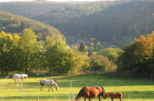 Foto 43 - Beautiful House With View of the Houille Valley