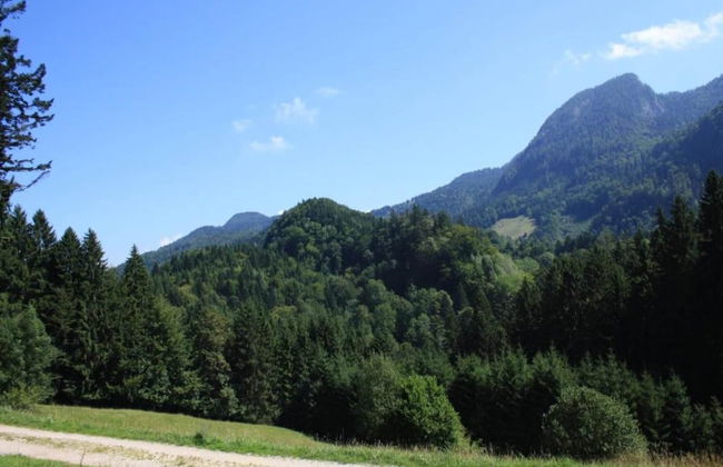 Cozy Holiday Home in Feldwies near Ski Area - Foto 25