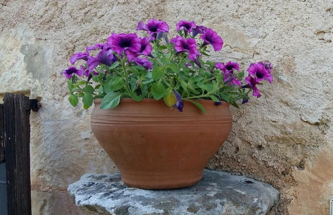 Bendeni Cottage - Photo 17