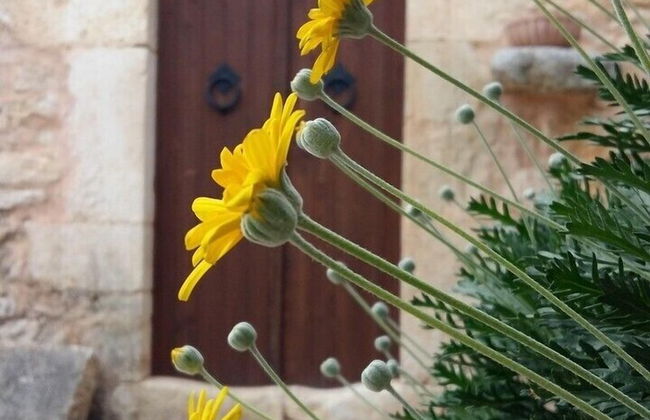 Bendeni Cottage - Photo 18