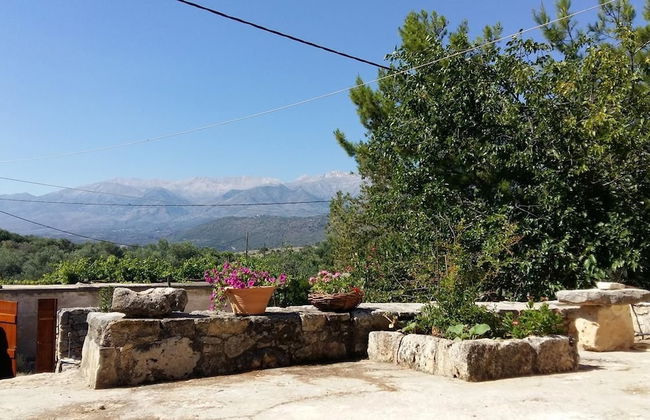 Bendeni Cottage - Photo 9