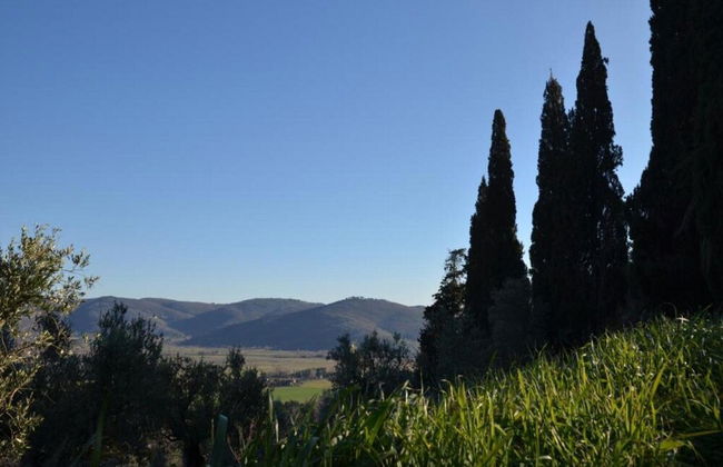 Holiday Home in Tuscany With Pool & Vineyards - Foto 26