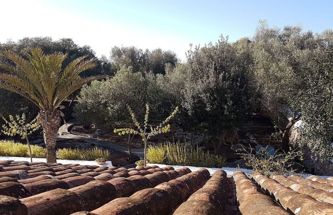 Agroturismo Biniati Des Pi - Foto 42