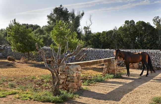Agroturismo Biniati Des Pi - Foto 25
