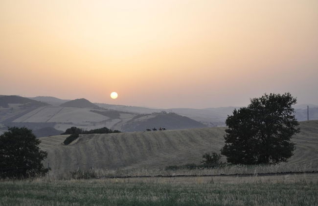 Masseria Straziuso - La Vaccariccia - Foto 20