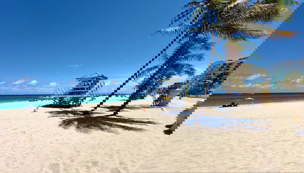 Imagem principal