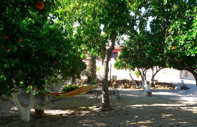 La Joya del Valle de Ricote - Foto 40