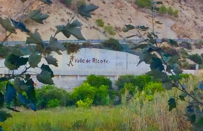 La Joya del Valle de Ricote - Foto 47