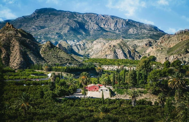 La Joya del Valle de Ricote - Foto 34