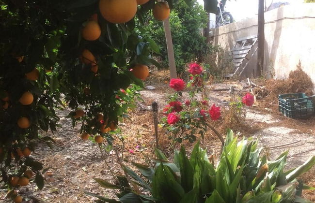 La Joya del Valle de Ricote - Foto 30