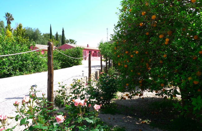 La Joya del Valle de Ricote - Foto 33